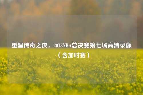 重温传奇之夜，2013NBA总决赛第七场高清录像（含加时赛）